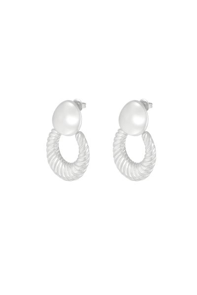 Chic elegant earrings - silver