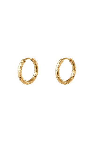 Stainless steel hoop earrings gold