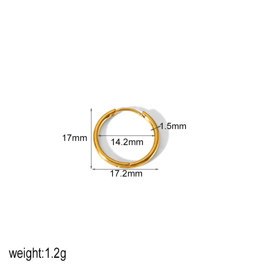 1 Pair Minimalist Style Geometric Stainless Steel  Gold Color Women's Hoop Earrings h5 