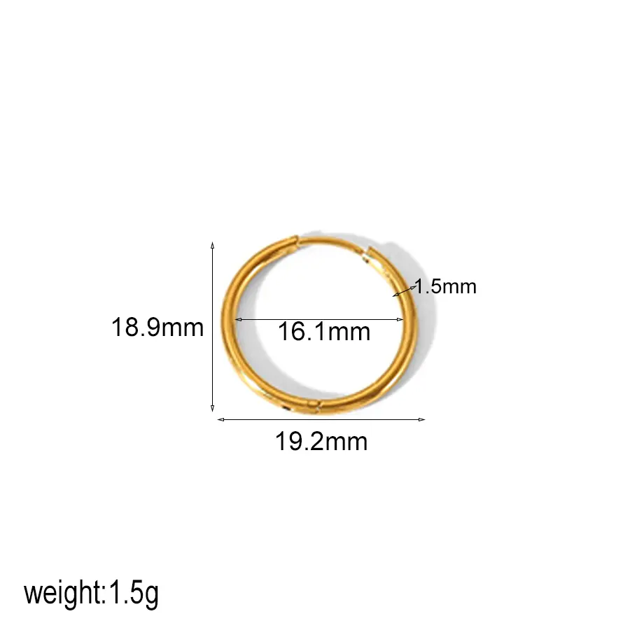 1 Pair Minimalist Style Geometric Stainless Steel  Gold Color Women's Hoop Earrings