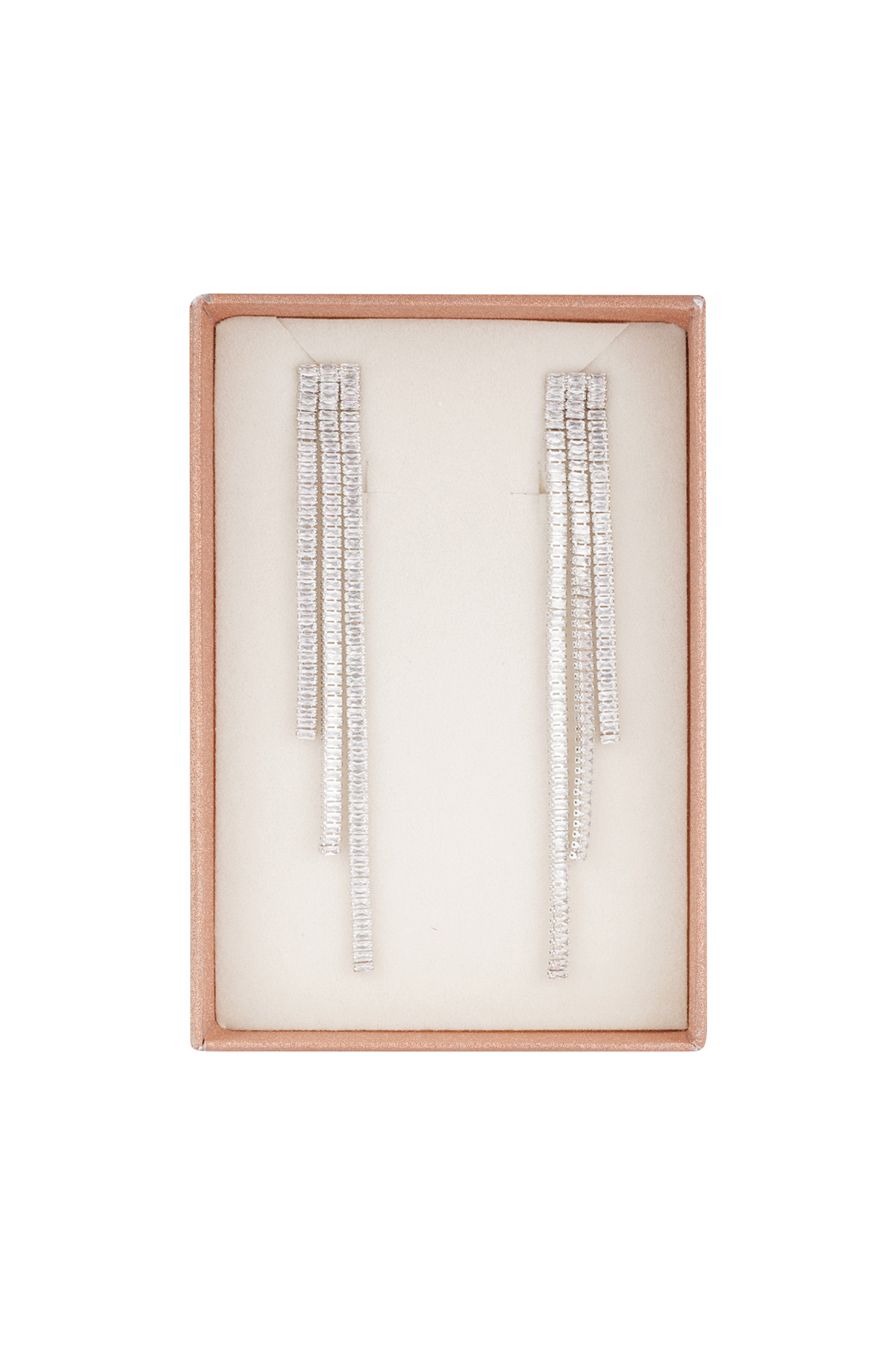 Elite shine earrings - silver h5 