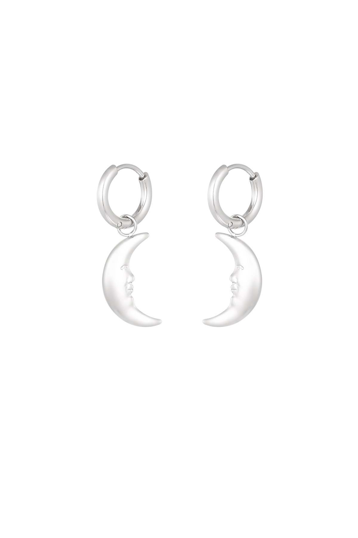 Moonlight earrings - silver h5 