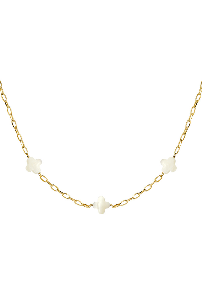 Necklace seashell clovers - Gold Stainless Steel 