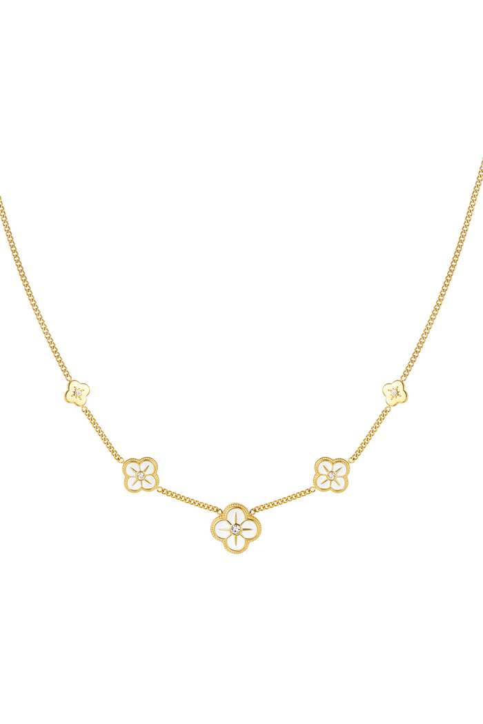 Necklace 5 clovers - gold 