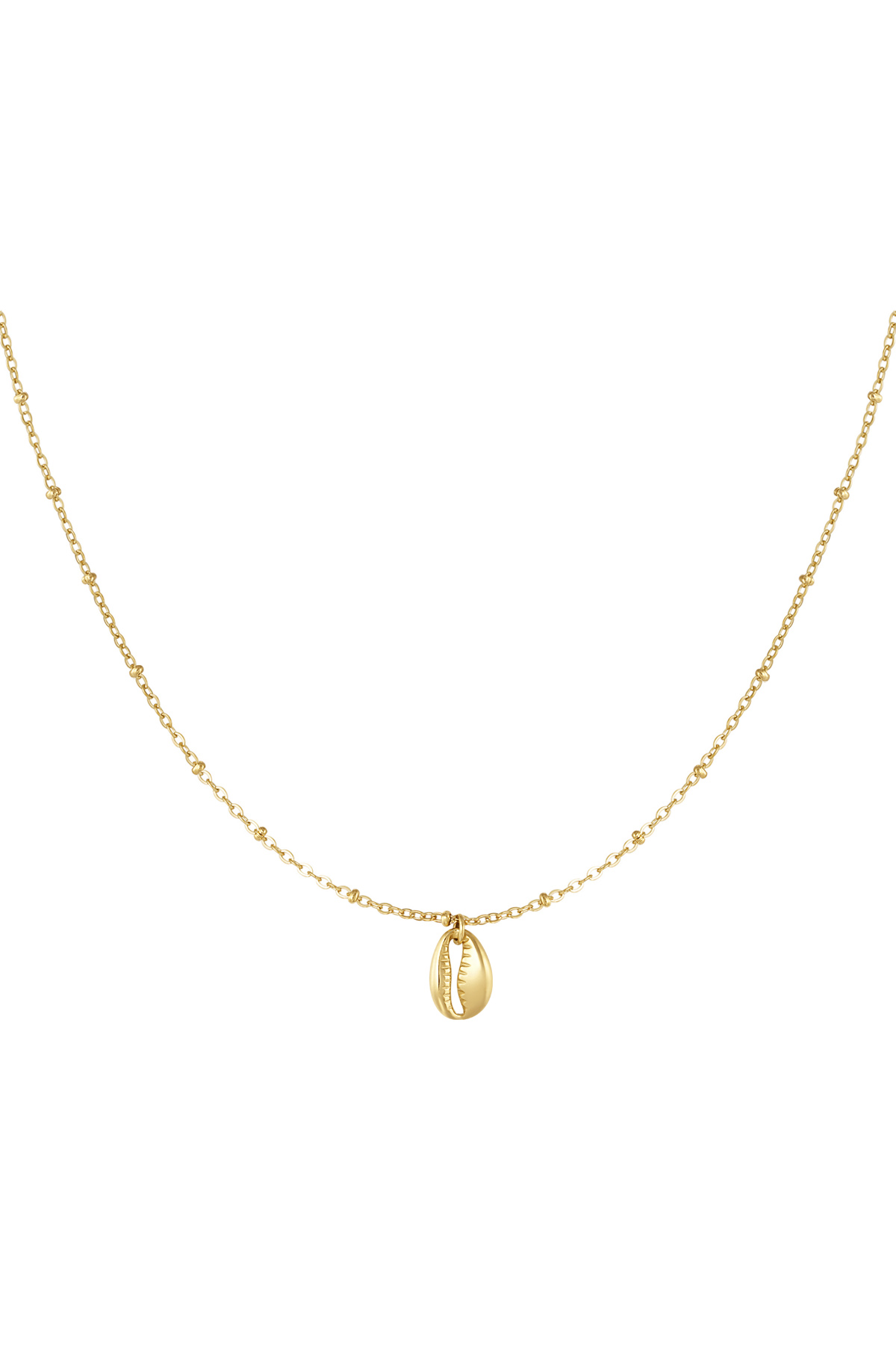 Link chain with shell - Gold color 2