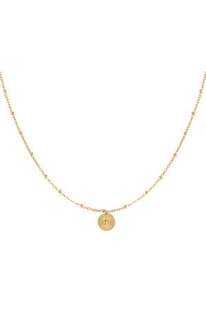 Necklace with round coin - gold h5 