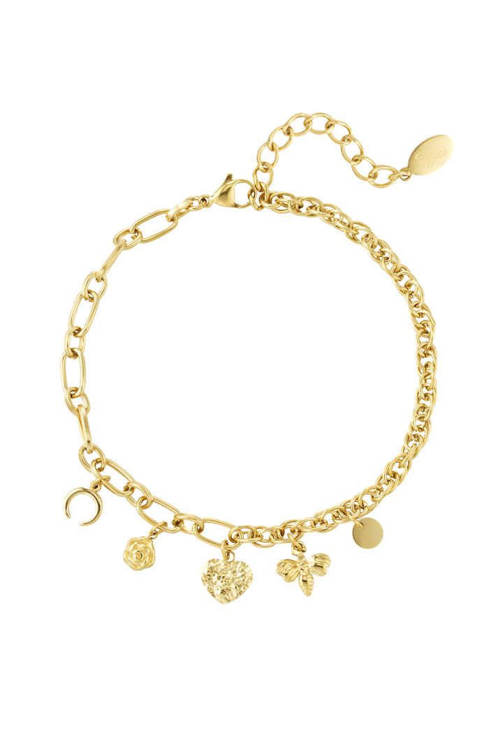 Anklet links with charms - gold 