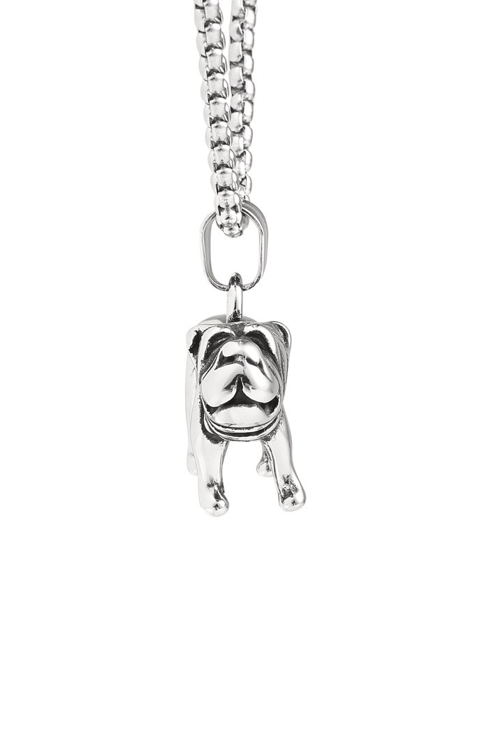 Collar de bulldog para hombre - plata Imagen6