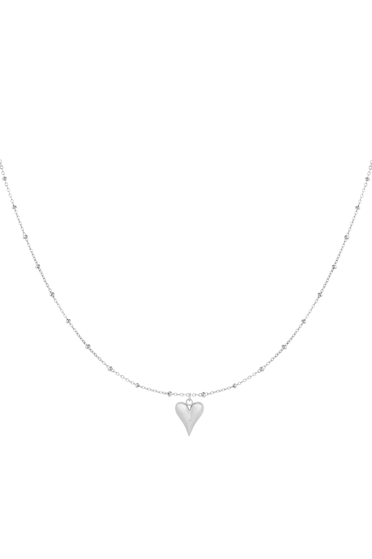 Necklace timeless devotion - silver h5 