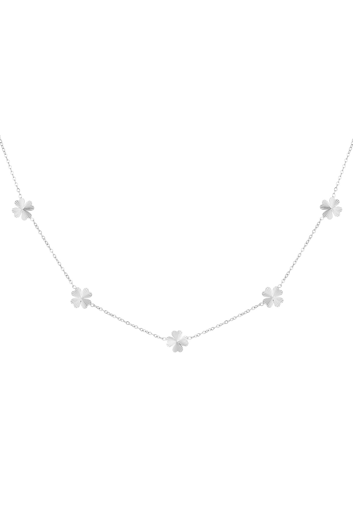 Leafy luck necklace - silver h5 