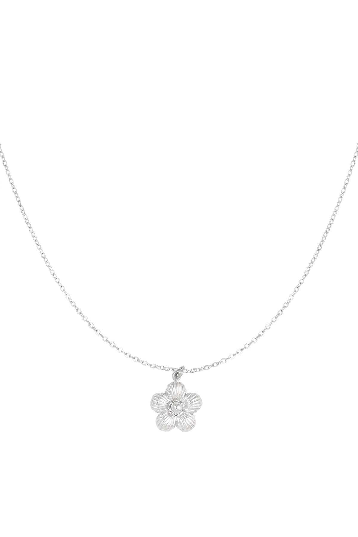 Daisy necklace - silver h5 