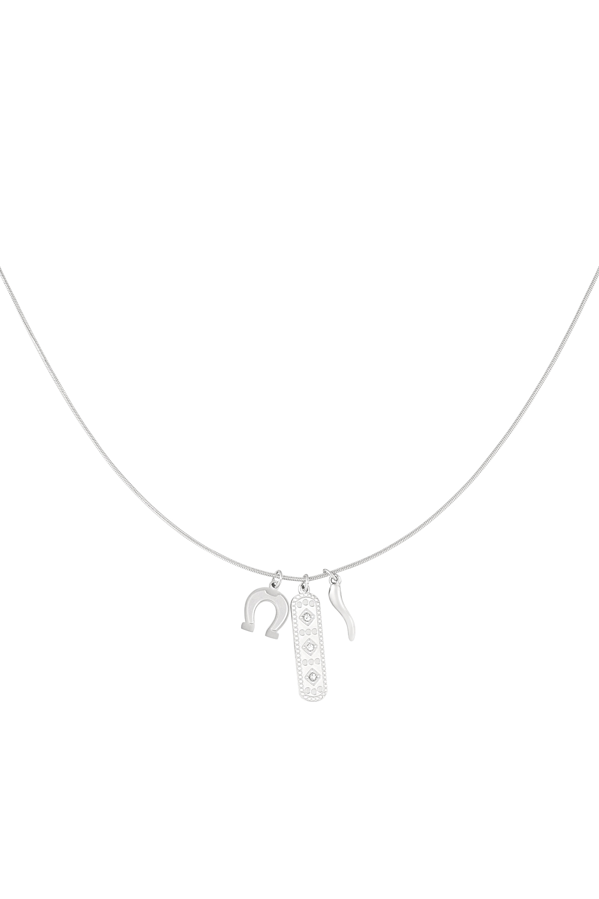 Lucky hoof necklace - silver h5 