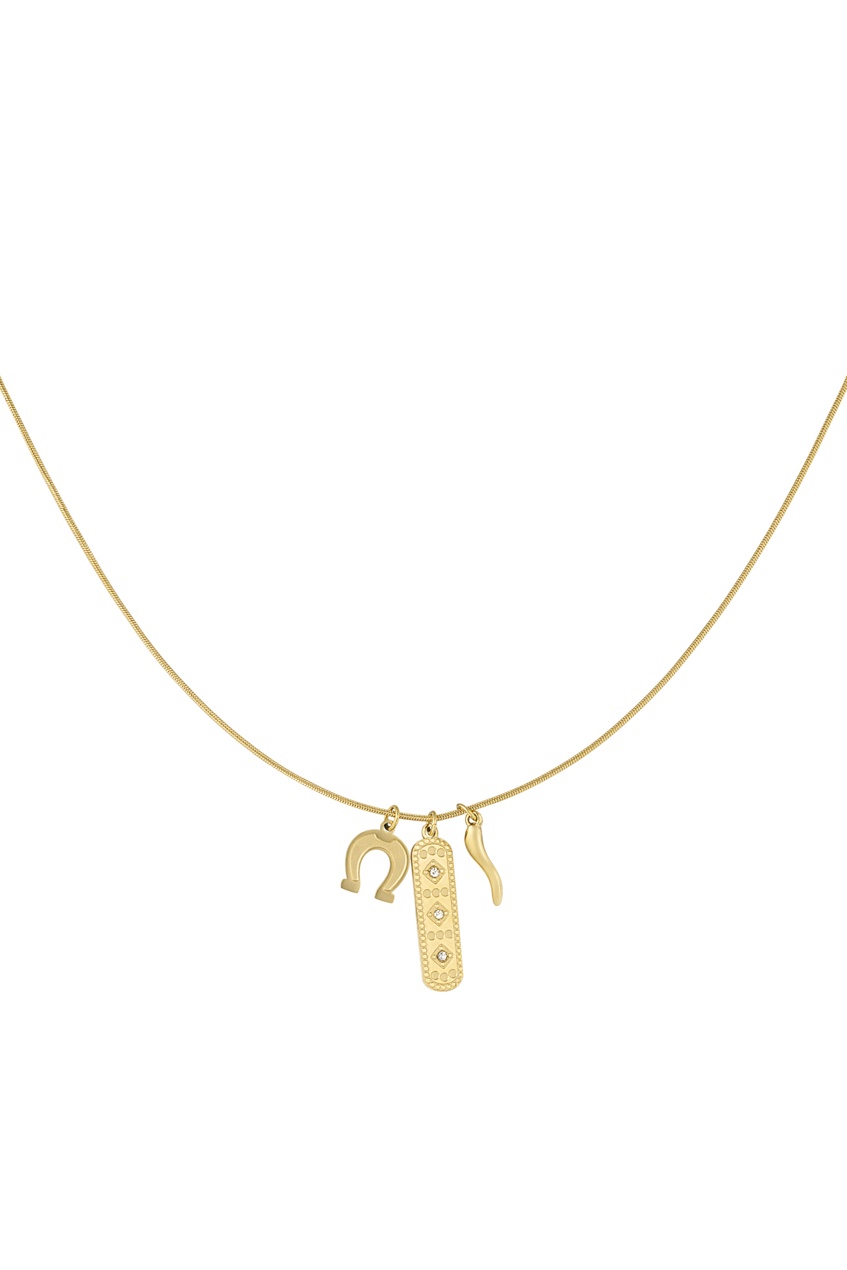 Lucky hoof necklace - gold h5 