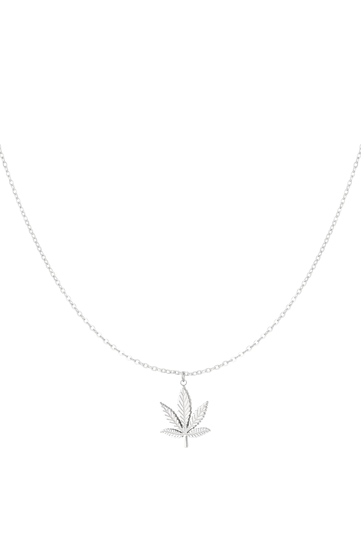 Canna bliss necklace - silver h5 