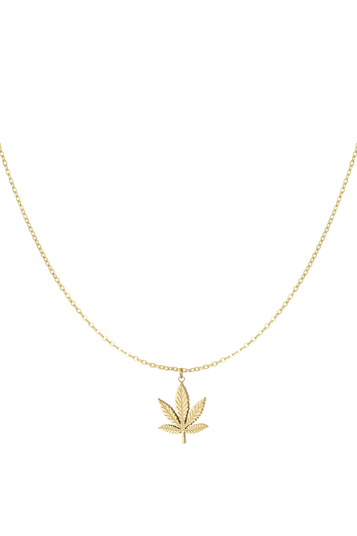 Canna bliss necklace - gold h5 