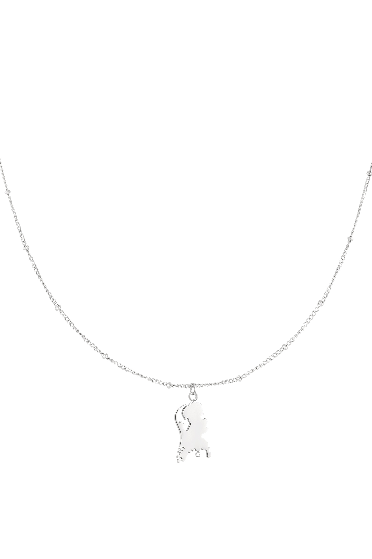 The Netherlands necklace - Silver Color color h5 