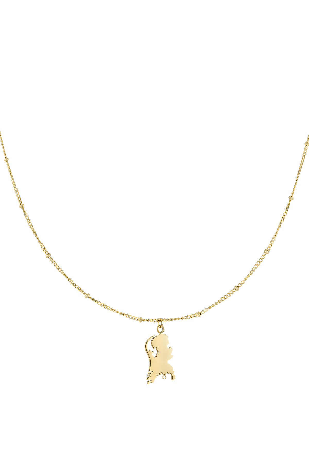 The Netherlands necklace - gold h5 