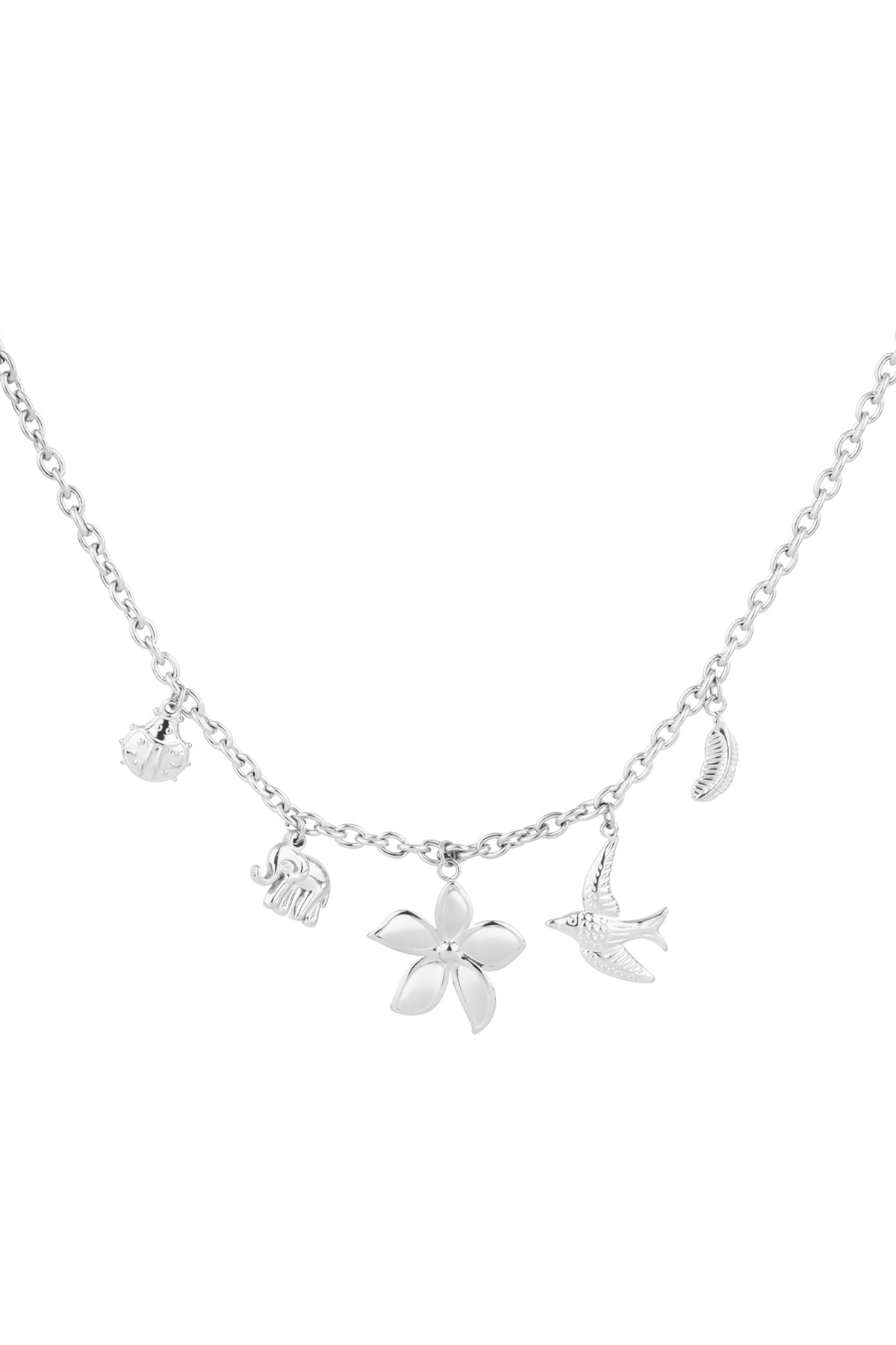 Charm necklace spirit of nature - Silver color h5 