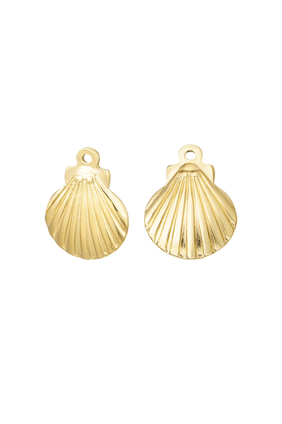 Charm Muschel - Gold