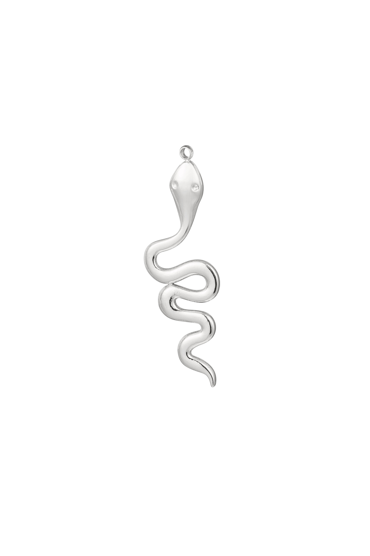 Snake-shaped Stainless Steel Earrings - Silver h5 