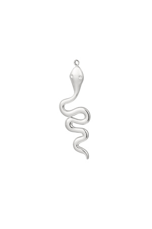 Schlangenförmige Edelstahlohrringe – Silber h5 