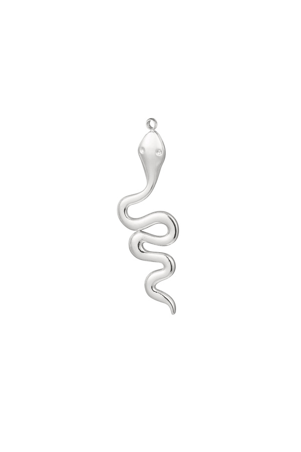 Schlangenförmige Edelstahlohrringe – Silber