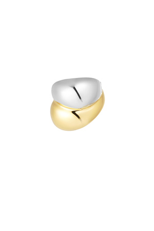 Ring dubbel - goud/zilver h5 