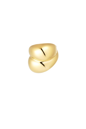 Ring dubbel - goud h5 