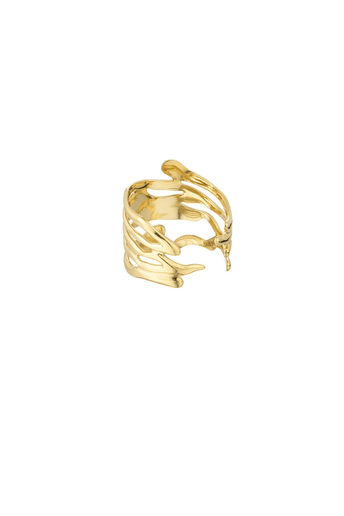 Ring aesthetic leaves - gold h5 Picture3