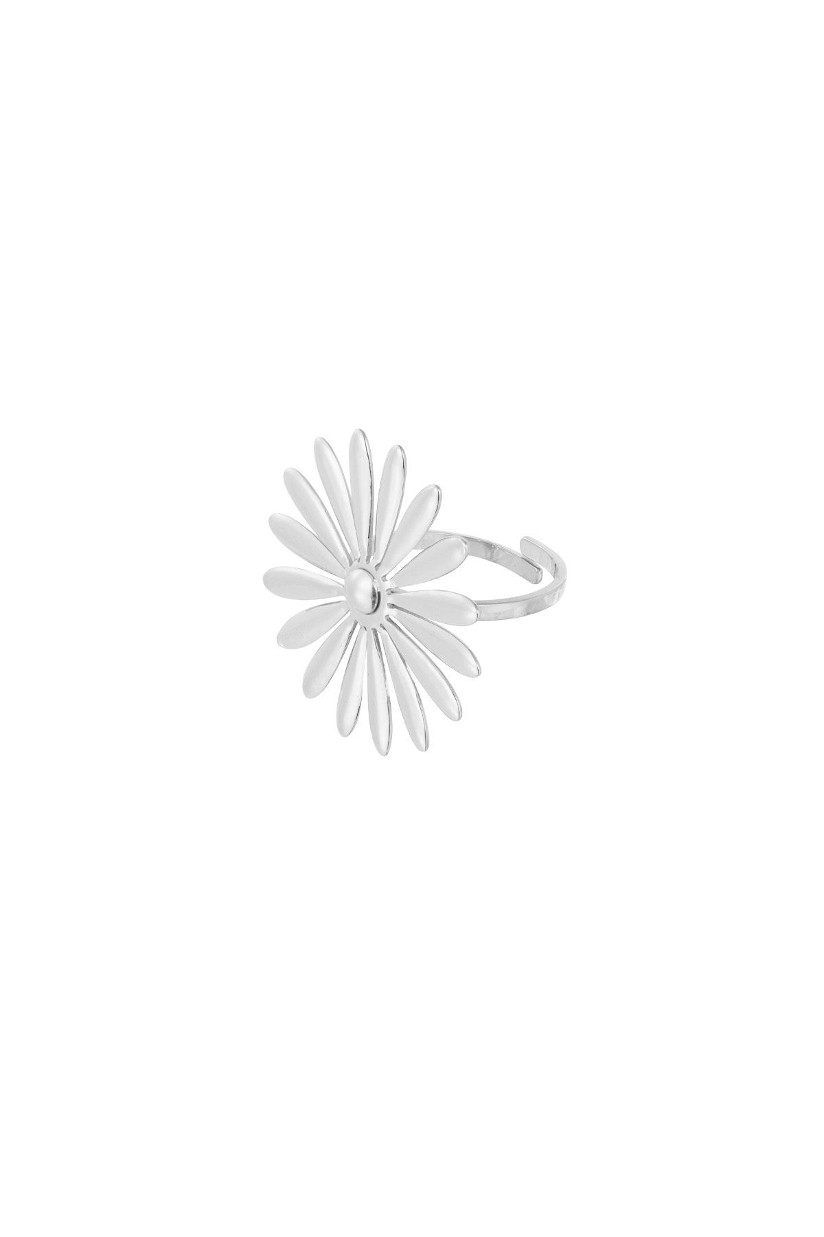 Bloomy Babe ring - zilver h5 Afbeelding3