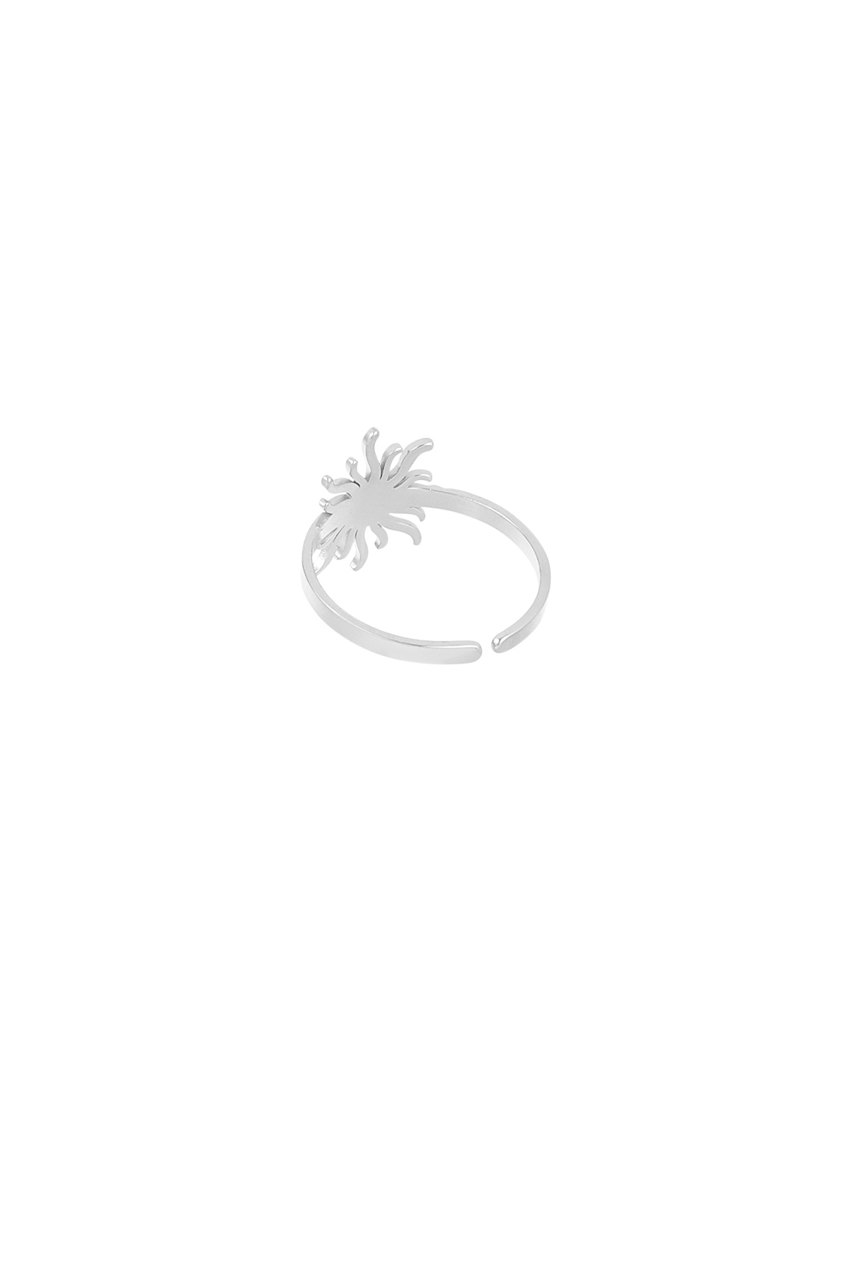 Sunny Swirl ring - silver h5 Picture4