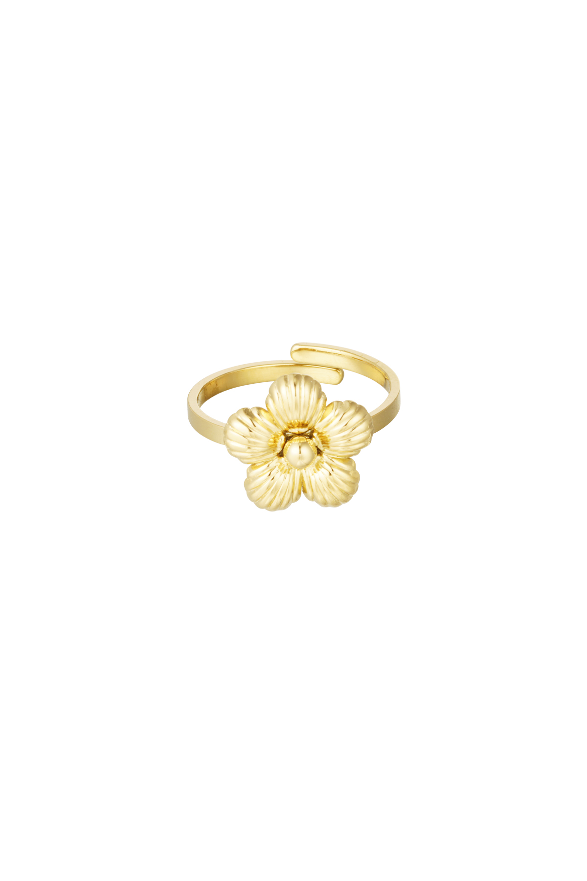 Daisy ring - goud h5 