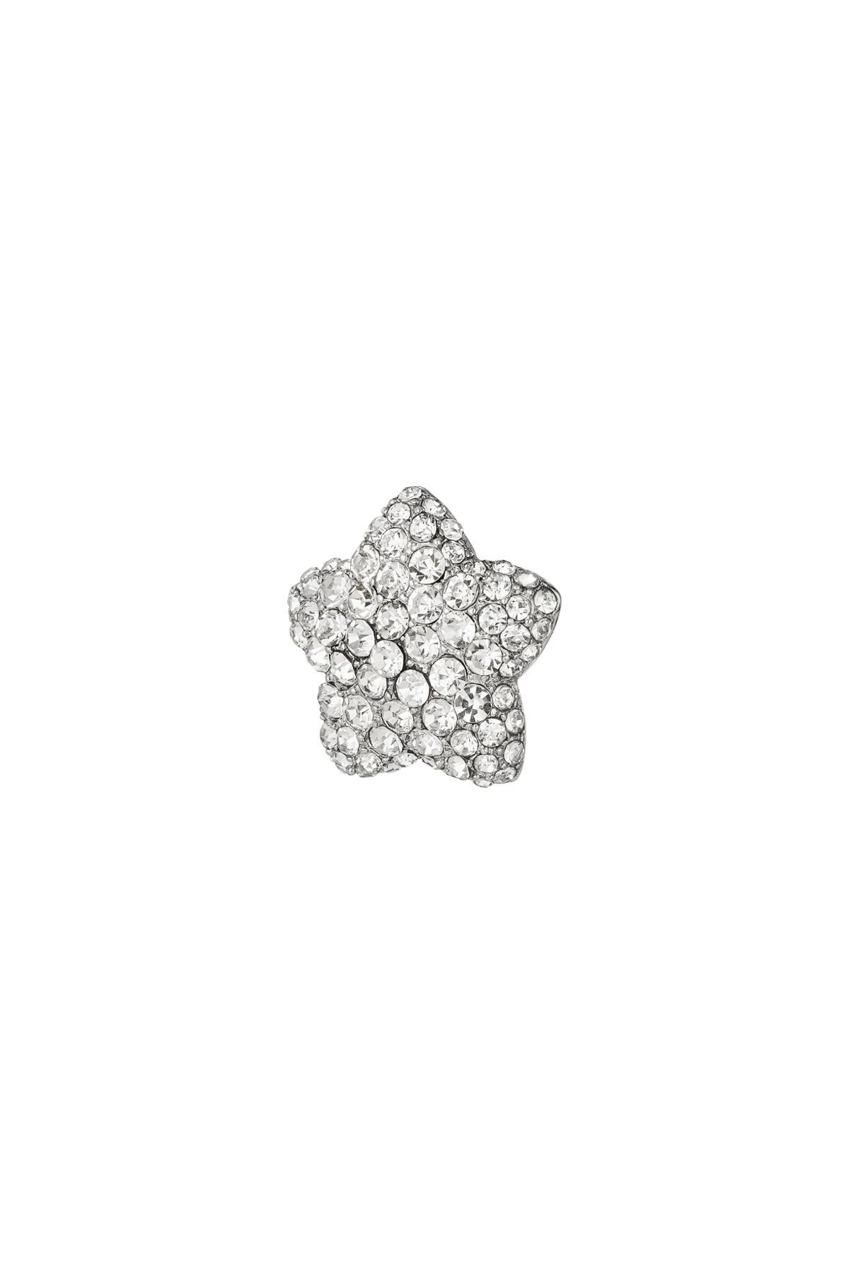 Floral essence brooch - silver h5 