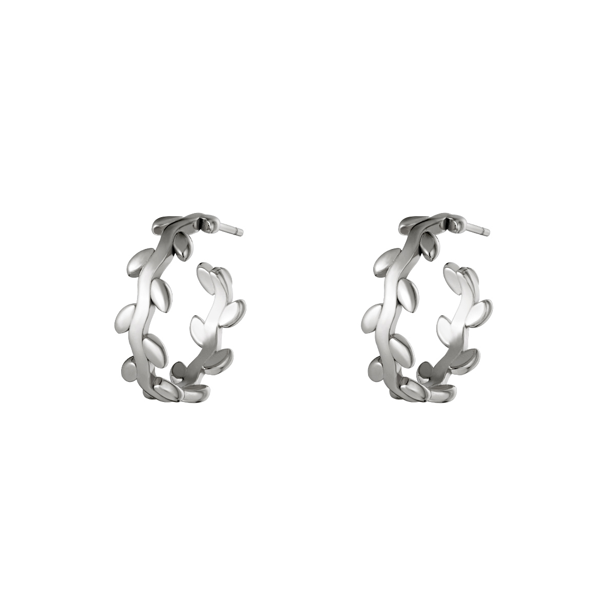 Boucles d'oreilles créoles couronne de laurier en acier inoxydable h5 