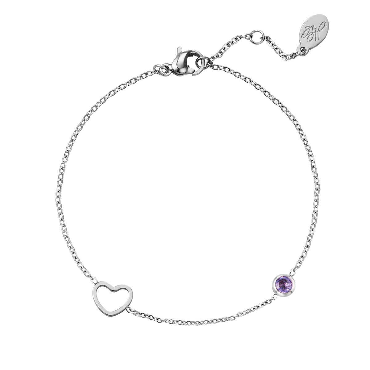 Birthstone bracelet February silver color Purple Stainless Steel h5 