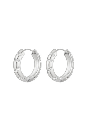 Earrings rhinestone stripes Silver Stainless Steel h5 