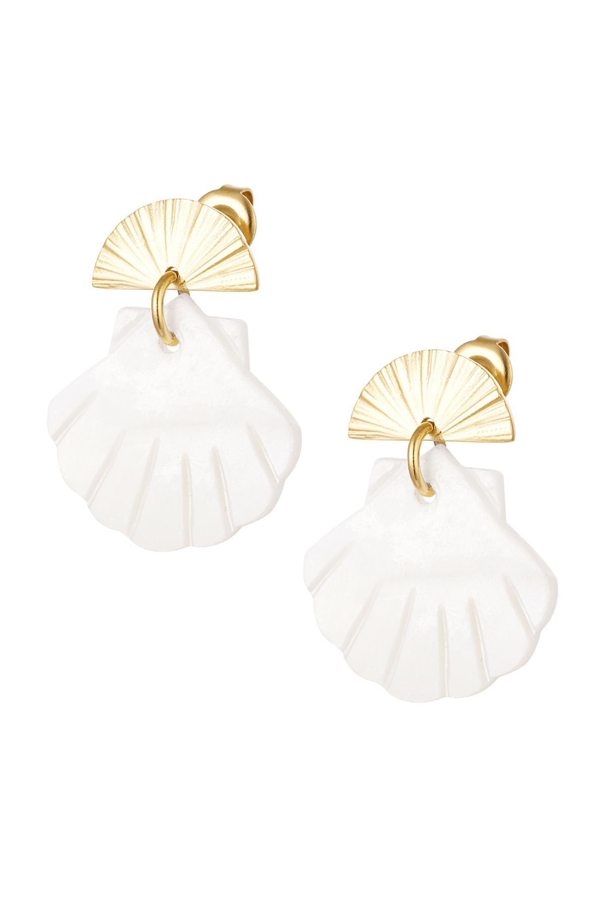 Earrings sea shell asymmetrical shape - Gold Color Stainless Steel h5 