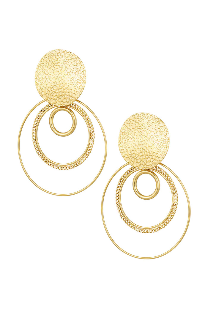 Earrings different rings - gold 