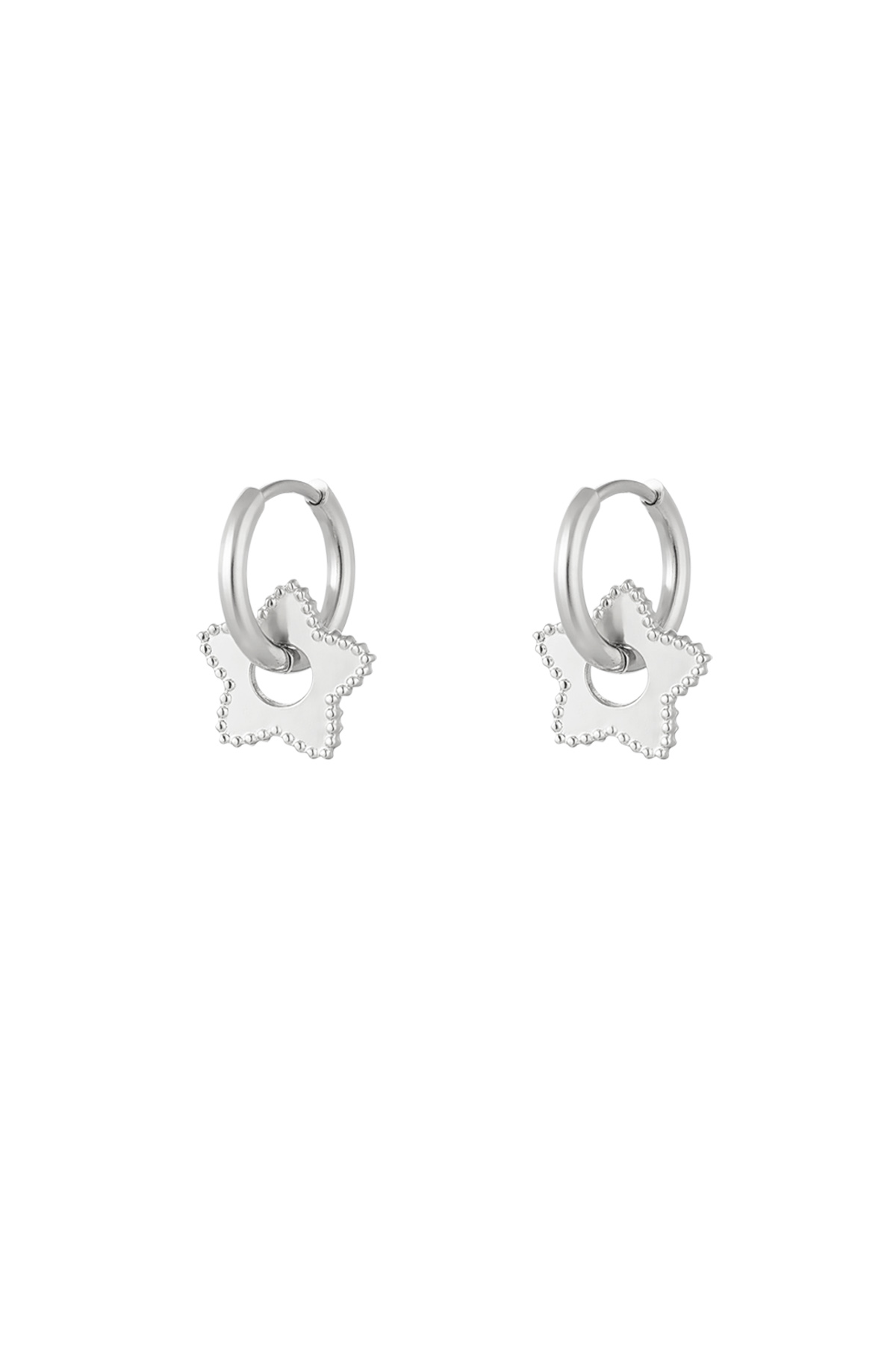 Earrings with flower charm - silver h5 