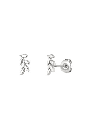 Ear studs leaves - silver h5 