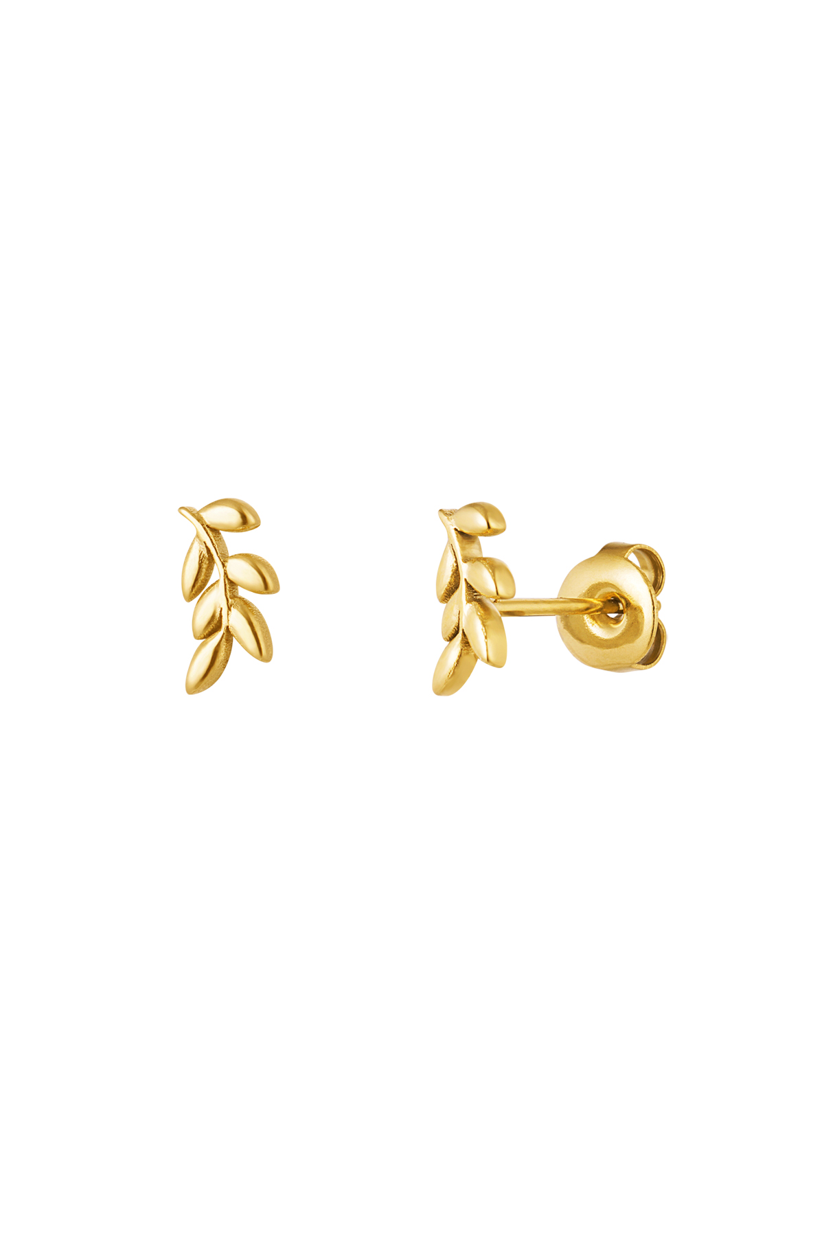 Ear studs leaves - gold h5 