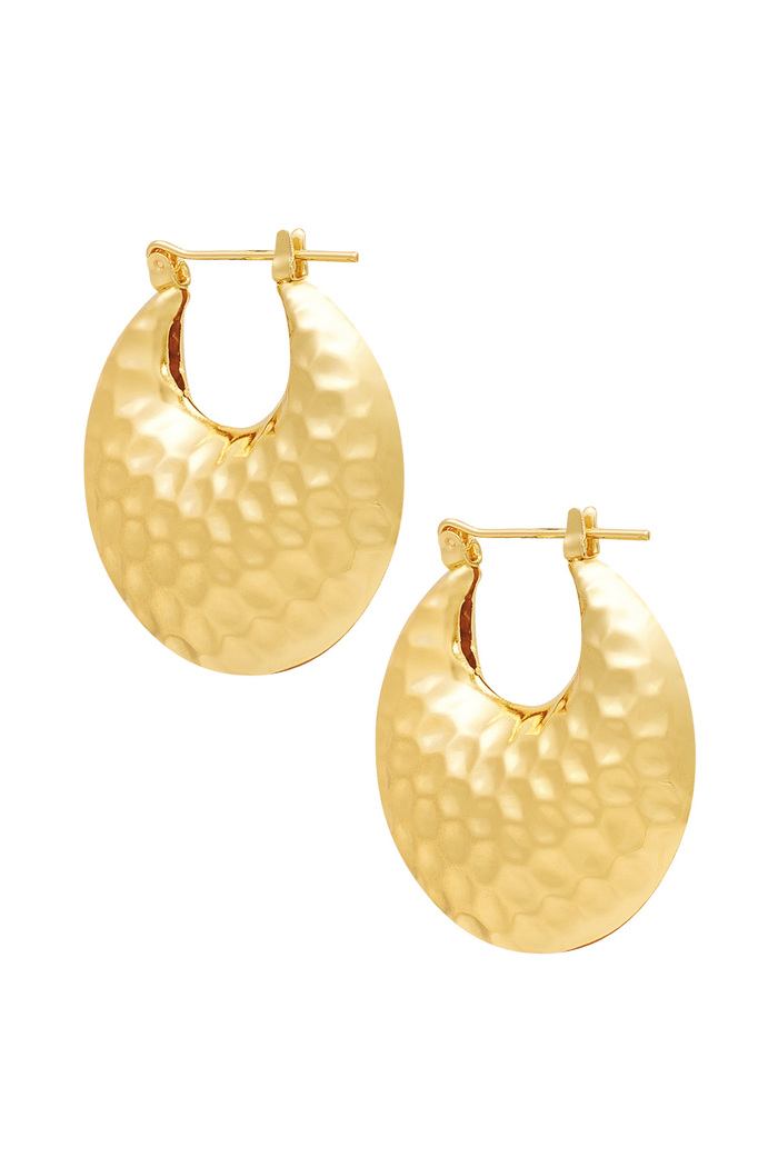 Earrings shiny - gold 
