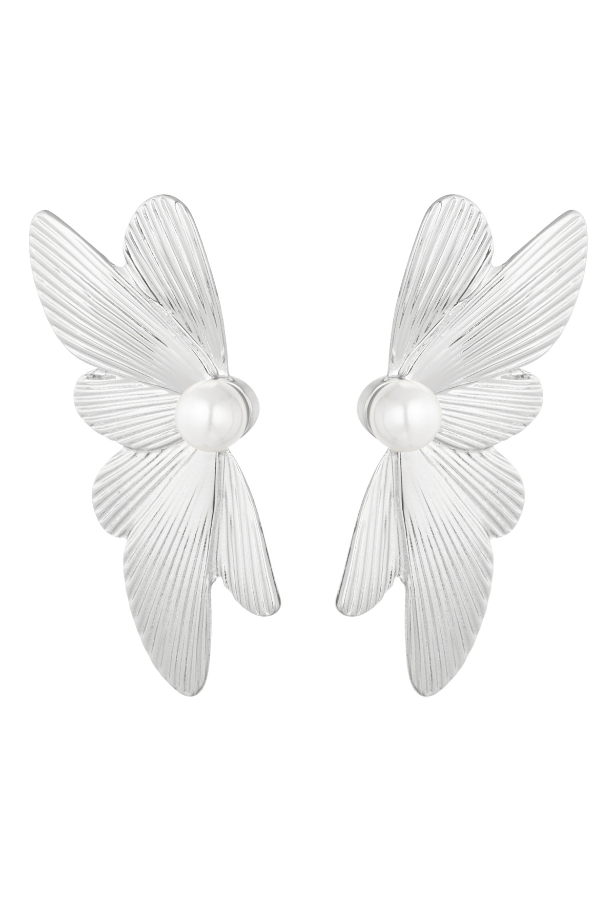 Ear studs wing - silver h5 