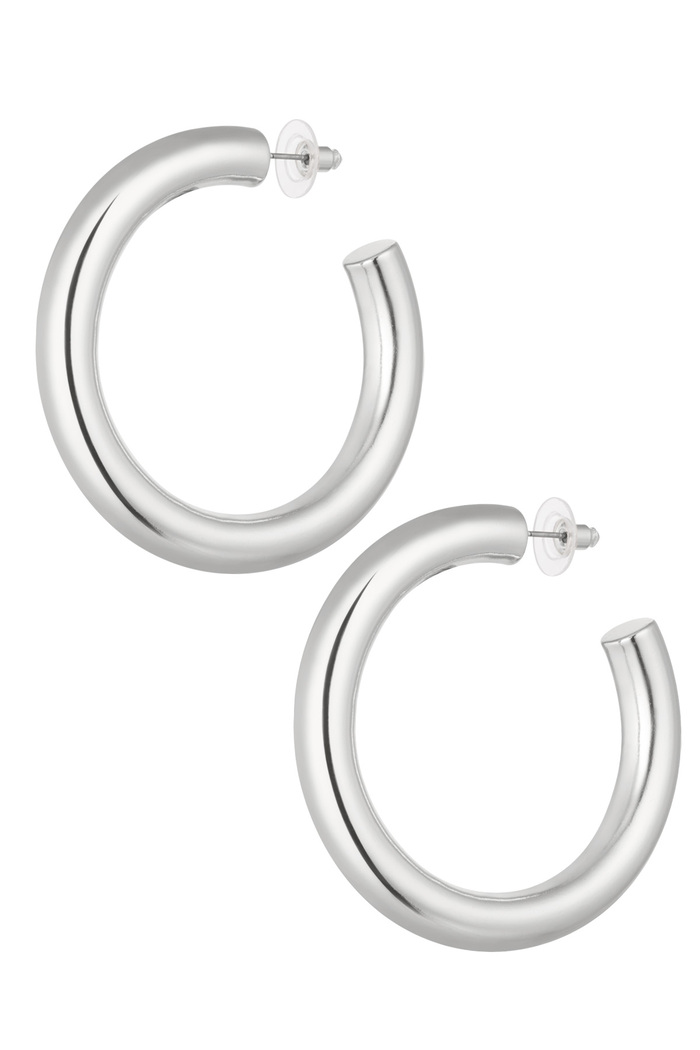 Earrings classic rings - silver 