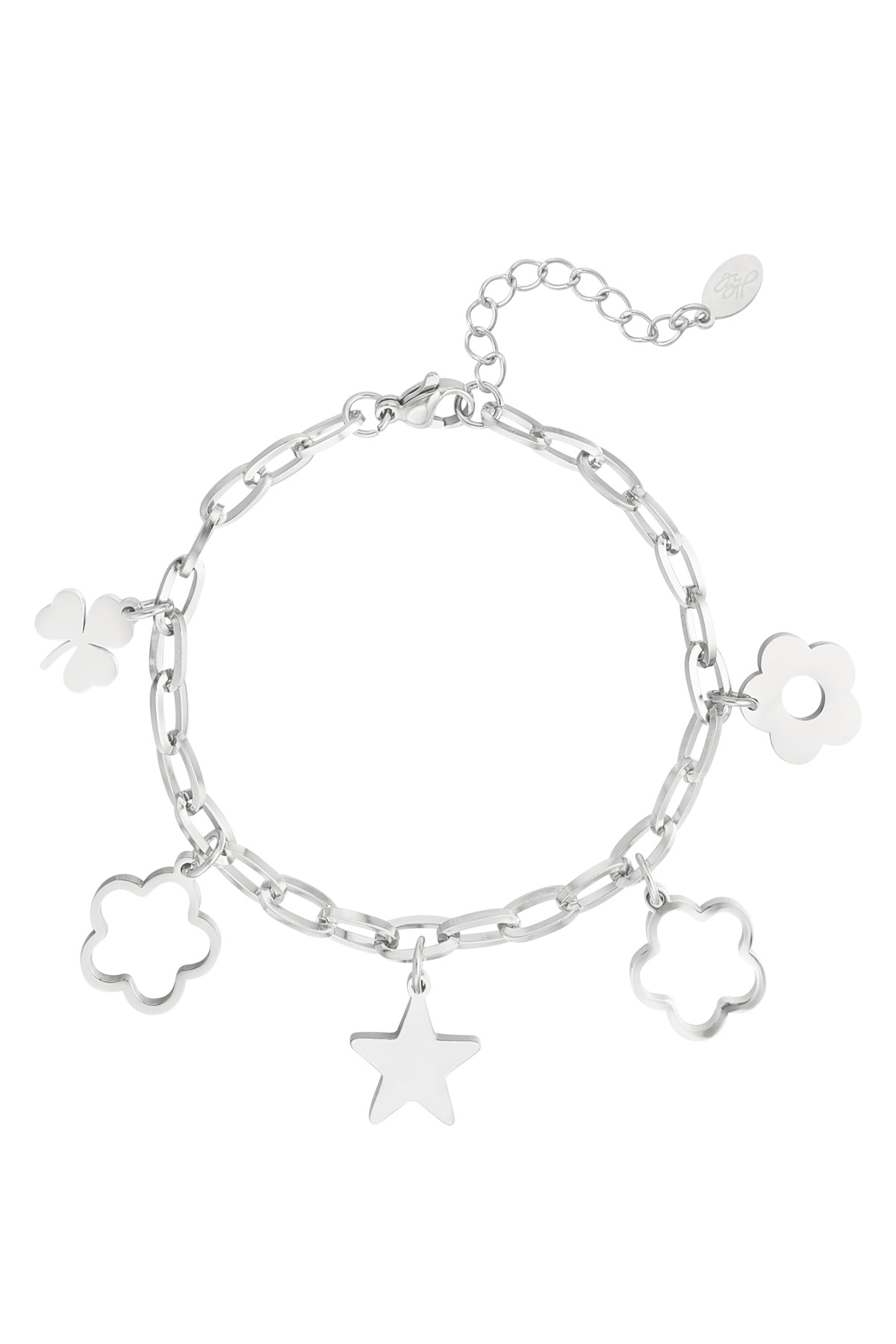 Link bracelet charms - silver h5 