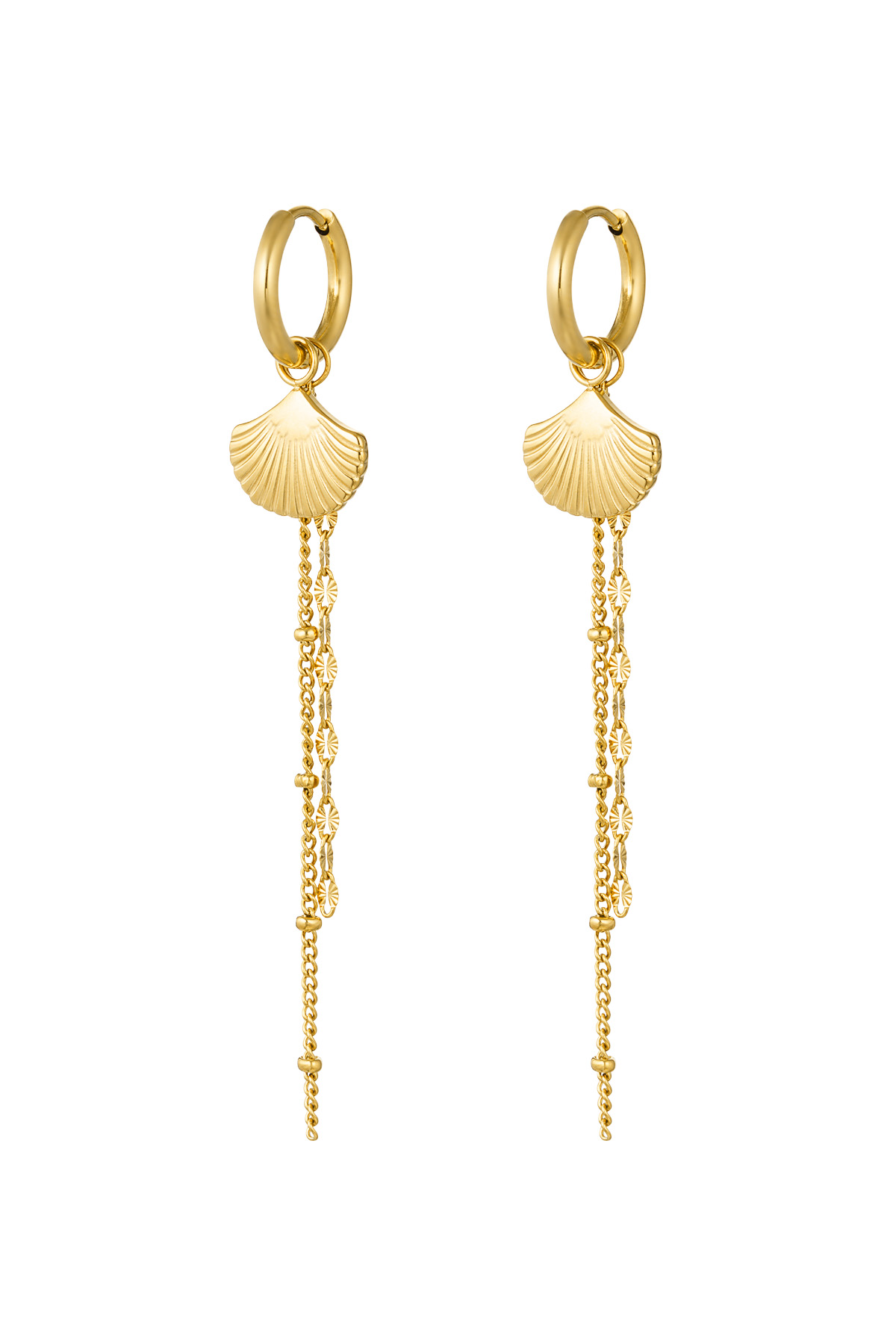 Earrings shell with chain - gold 