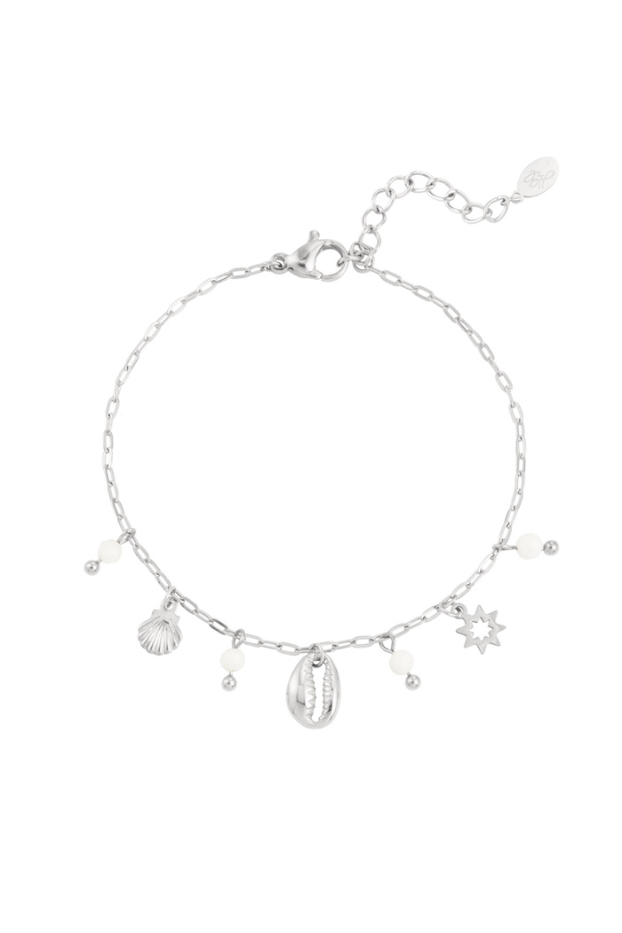 Bracelet charms and stones - silver 