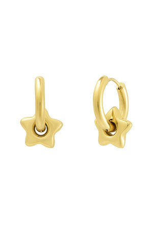 Earrings with star - gold h5 