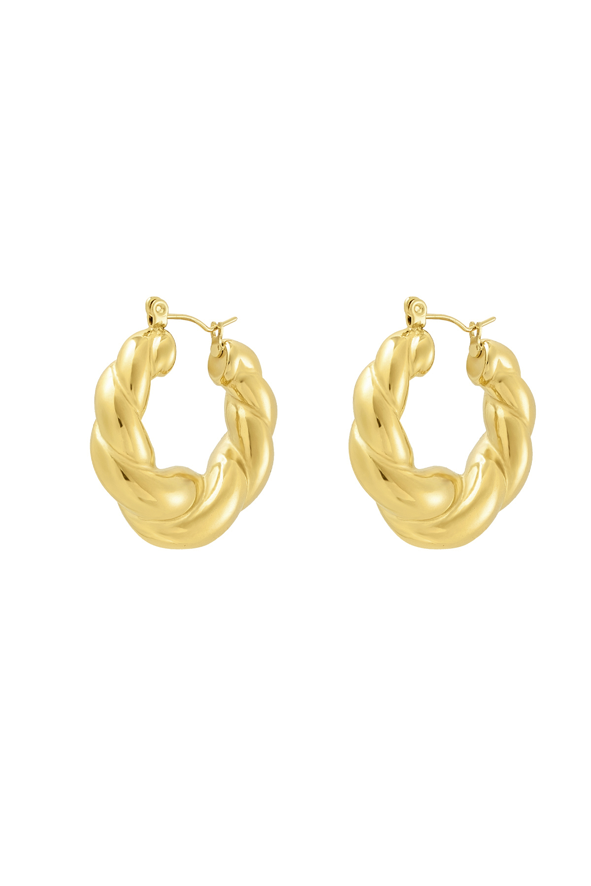 Earrings twisted - gold h5 