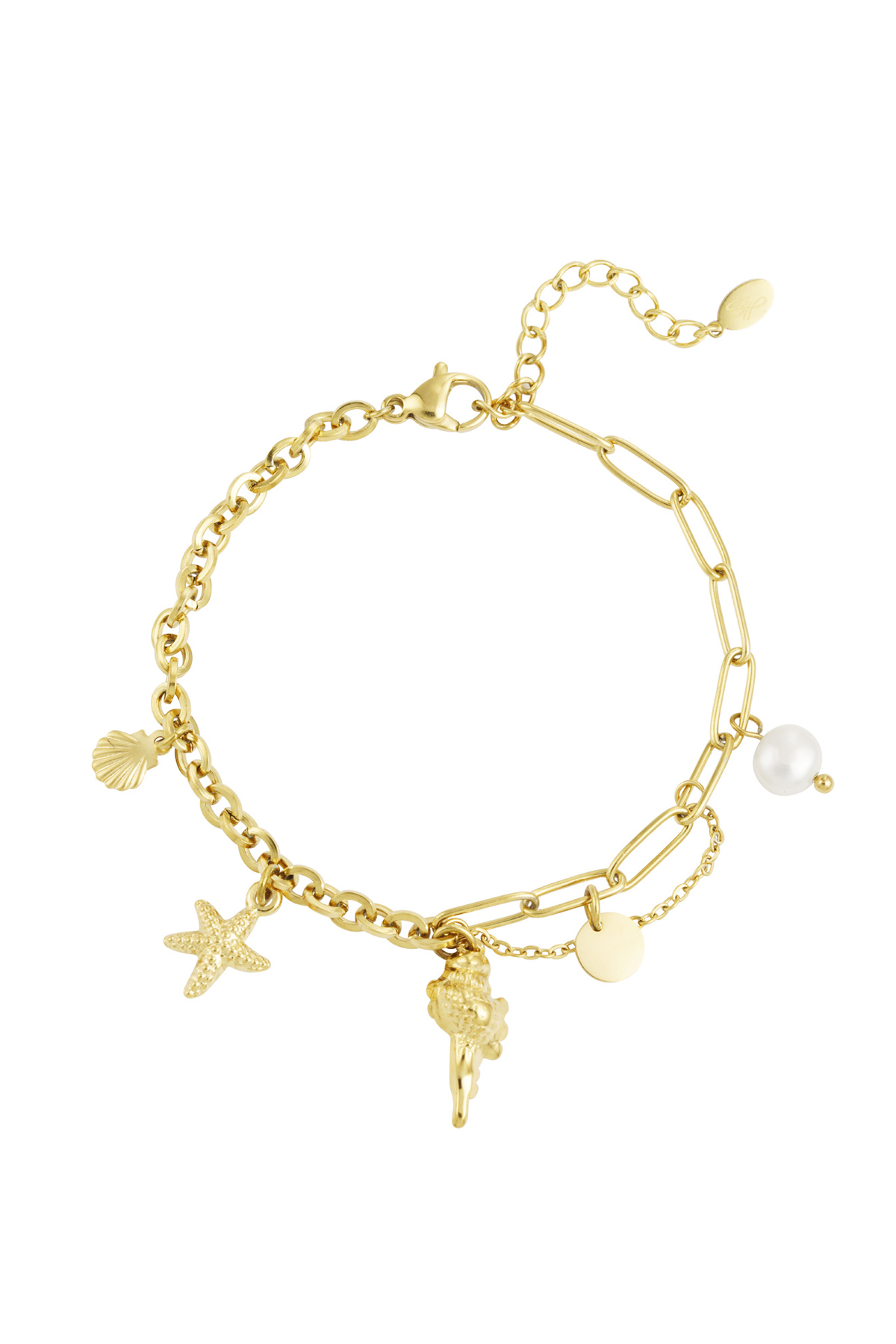 Link bracelet charms - gold h5 